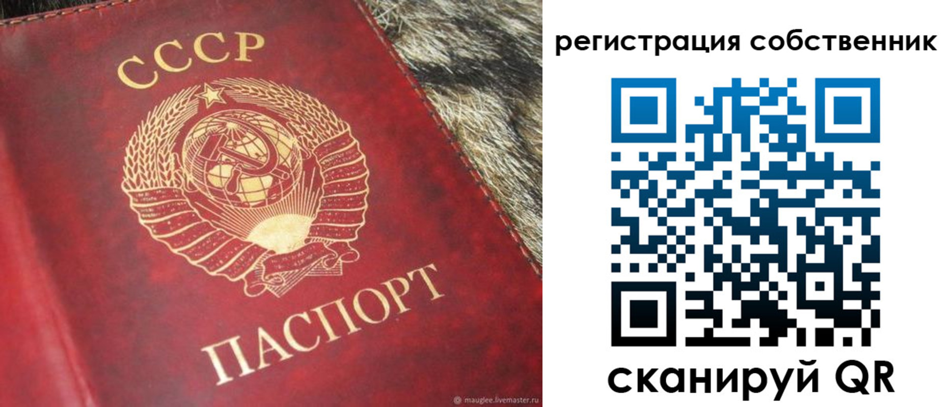 временная регистрация надежно в Десногорске